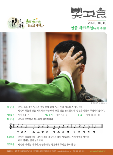 주보 사진